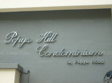 Pepys Hill Condominium (D5), Condominium #1082152